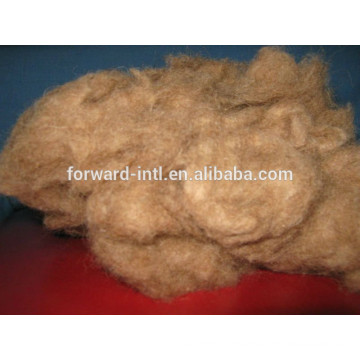 camel wool hair for garment , filling